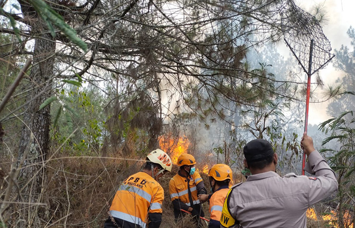 PENDINGINAN: Personel gabungan berupaya memadamkan api yang melalap kawasan TNGM Jurang Jero, Kabupaten Magelang, kemarin (12/10).BPBD Kabupaten Magelang