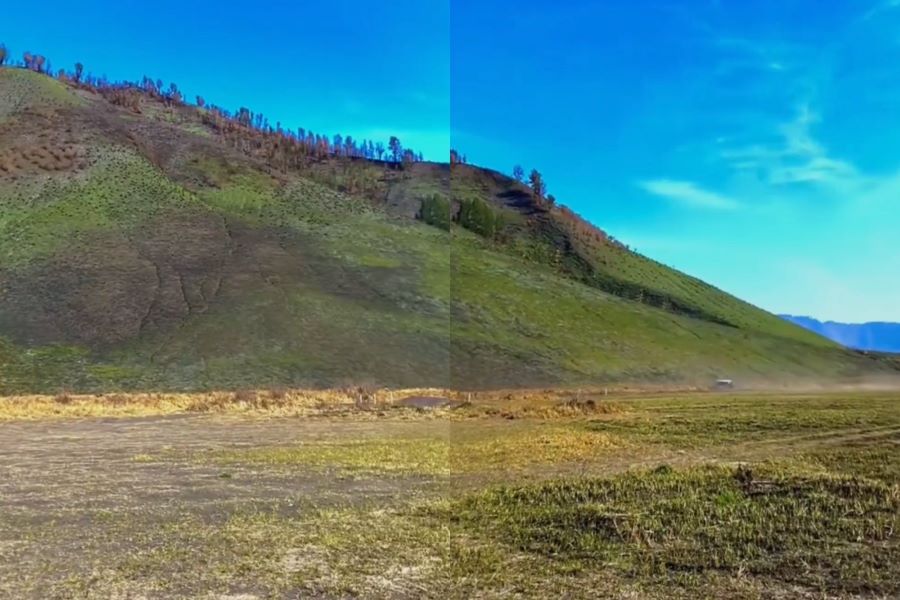 Potret Savana Bromo yang mulai menghijau (TikTok @story.moment7)