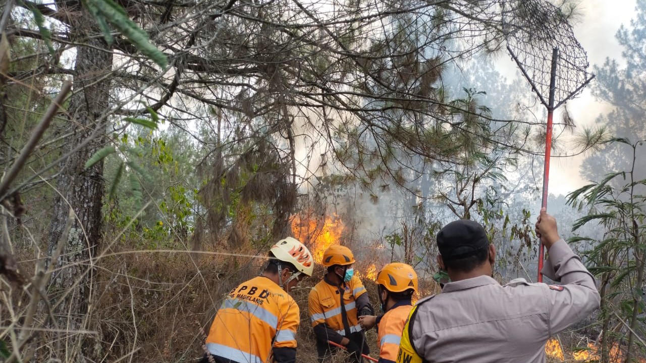 PENDINGINAN: Personel gabungan tengah berupaya untuk memadamkan api yang melalap kawasan TNGM Jurangjero, Kamis (12/10). (BPBD Kab Magelang)
