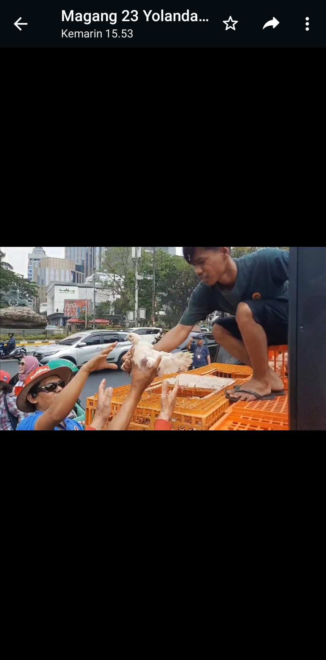 AKSI PROTES: Komunitas Peternak Unggas Nasional bagi-bagi gratis 500 ekor ayam di di kawasan Patung Kuda, Gambir, Jakarta Pusat pada Kamis, (12/10/2023).  (Beritasatu.com)