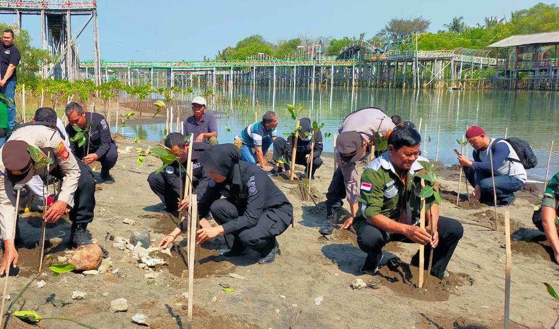 CEGAH: Proses penanaman mangrove di kawasan Pantai Pasir Kadilangu, Kalurahan Jangkaran, Kapanewon Temon, kemarin (13/10). HENDRI UTOMO
