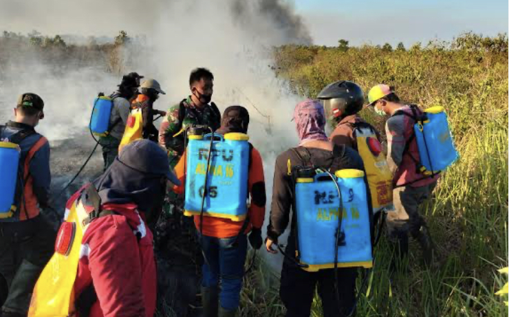 Kebakarang di Way Kambas yang terjadi Sabtu (14/10/2023)