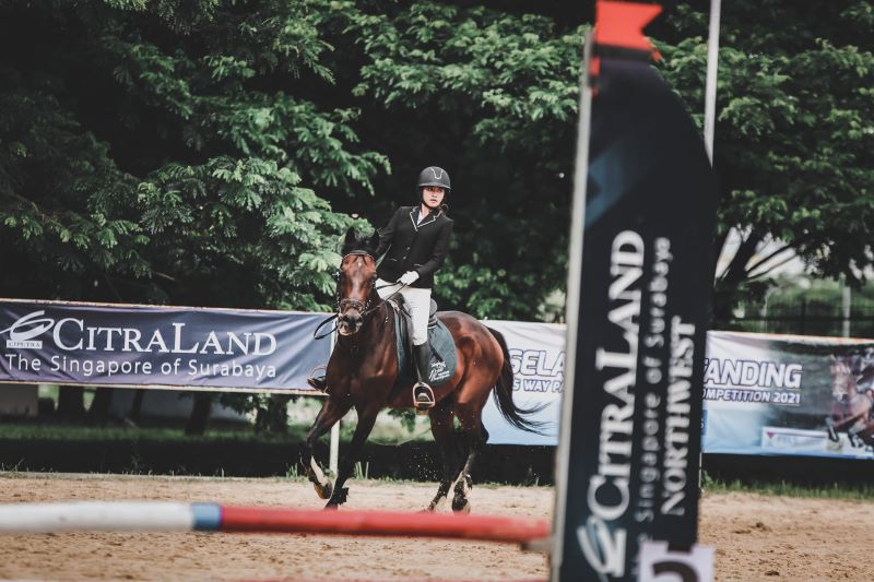 Salah satu momen penunggang kuda di arayastable.  (arayastable.com)