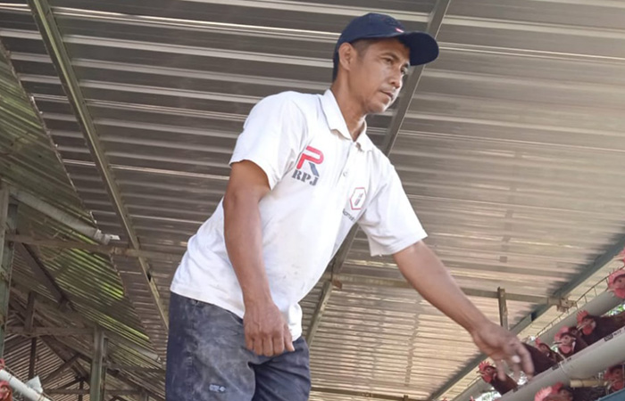HARGA ANJLOK - Peternak ayam petelur, warga Mulo, Wonosari Eko Purwanto beraktivitas di kandang miliknya beberapa waktu lalu.Dokumen Radar Jogja