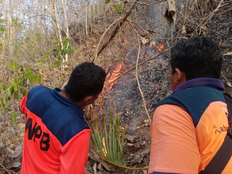 Tim BPBD Purworejo saat memadamkan api di hutan wilayah Kabupaten Purworejo dengan menggunakan cara manual karena sulit dijangkau mobil pemadam, beberapa waktu lalu. (Dok BPBD Purworejo)