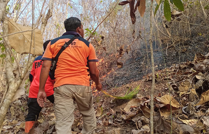 MANUAL: Tim BPBD Purworejo saat memadamkan api di hutan wilayah Kabupaten Purworejo dengan menggunakan cara manual karena sulit dijangkau mobil pemadam, beberapa waktu lalu.BPBD Purworejo untuk Radar