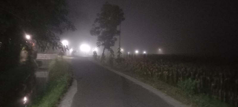 REMANG: Suasana salah satu ruas jalan yang berkabut di Kalurahan Murtigading, Kepanewon Sanden, Bantul, Jumat malam (20/10). (Khairul Ma