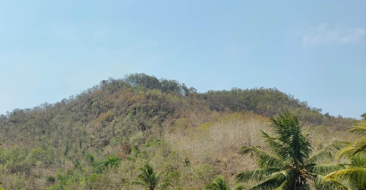 TERBAKAR LAGI: Nampak dari kejauhan dua titik kepulan asap di Gunung Roto di Kalurahan Hargorejo, Kapanewon Kokap, Kulon Progo, Rabu (25/10). (HENDRO UTOMO/Radar Jogja)