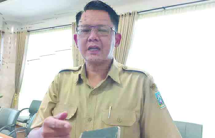 Wakil Bupati Sleman Danang Maharsa