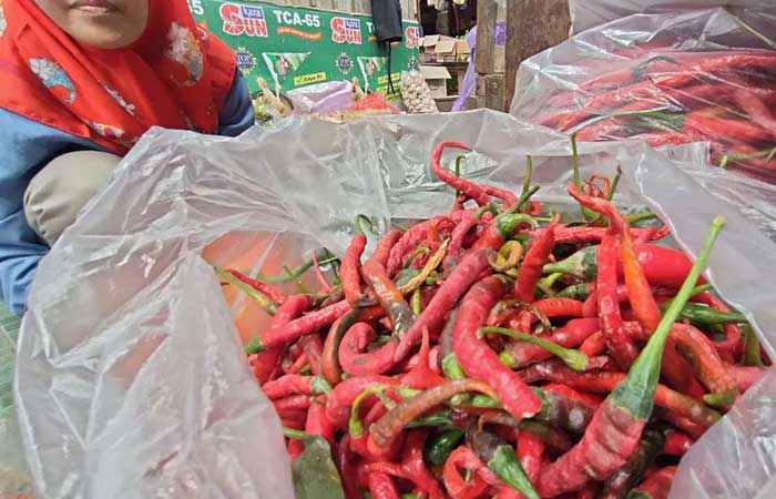 GANTI HARGA: Penjual cabai di pasar Wates Kulon Progo, Kulon Progo, Selasa (31/10).HENDRI UTOMO/RADAR JOGJA