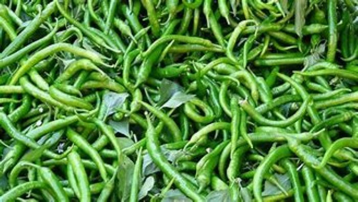 Cabai hijau memiliki banyak manfaat kesehatan dan kecantikan seperti anti kanker dan anti aging. (Freepik.com)