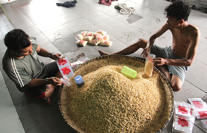 TELATEN: Karyawan mengemas kedelai di Pabrik Tempe Muchlar di Kalurahan Ngestiharjo, Kasihan Selasa(7/11). Naiknya harga kedelai membuta produsen memperkecil ukuran tempe.