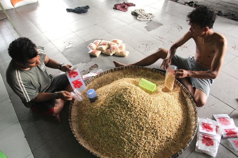 KERJA KERAS: Karyawan mengemas kedelai di Pabrik Tempe Murni Muchlar di Kalurahan Ngestiharjo, Kasihan, Bantul, Selasa (7/11). (Gregorius Bramantyo/Radar Jogja)