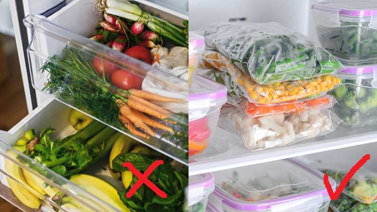 Tips Menyimpan Sayur Ala Orang Jepang sumber Hipwee