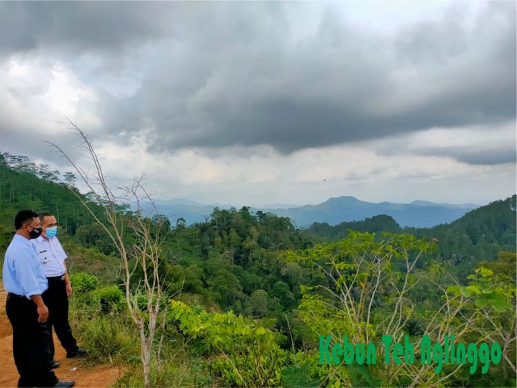 sumber foto kulonprogokab.go.id