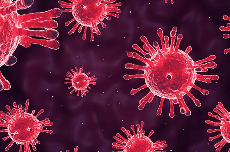 Ilustrasi virus. (halodoc.com)