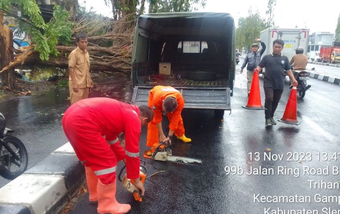 Tim Reaksi Cepat (TRC) Kapanewon Gamping saat melakukan evakuasi pohon tumbang di ruas jalan Ringroad Barat, Trihanggo, Gamping, Sleman pada Senin (13/11). (dok BPBD Sleman)