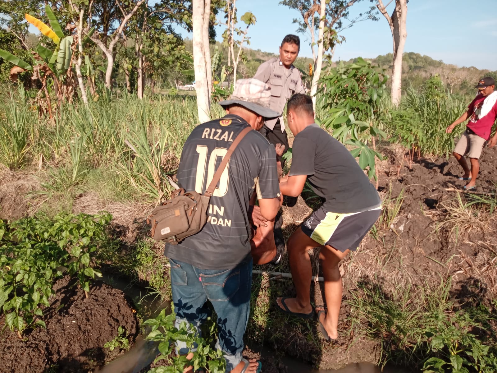 NAHAS: Warga dan anggota kepolisian mengevakuasi korban sengatan tawon di Padukuhan Kunden, Kalurahan Sendangsari, Pajangan. Jumat (17/11). Dok Polres Bantul)