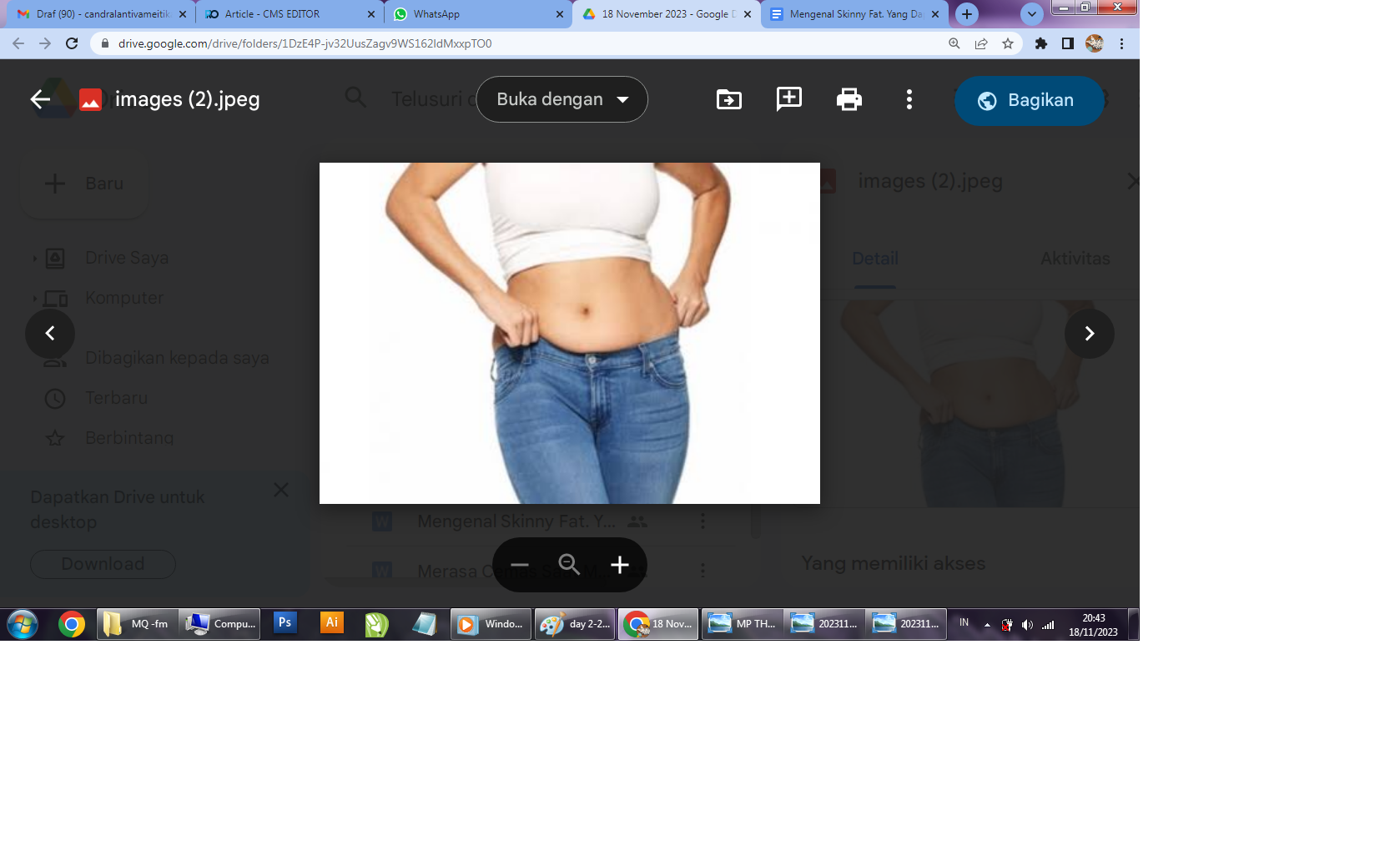 Ilustrasi skinny fat. (mommyasia.com)