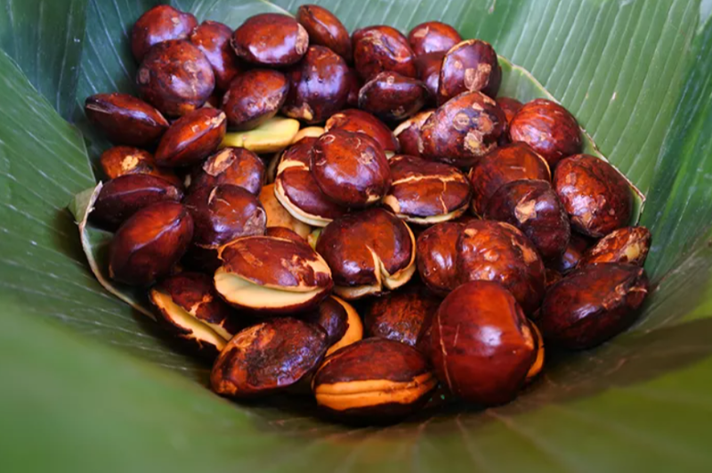 Jengkol. (halodoc.com)