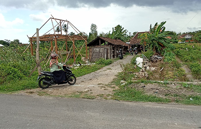 PENYELEWENGAN: Warga melintas di area tanah pelungguh yang beralih fungsi menjadi tempat display usaha jual beli joglo di Padukuhan Keyongan, Sabdodadi, Bantul Selasa (28/11).