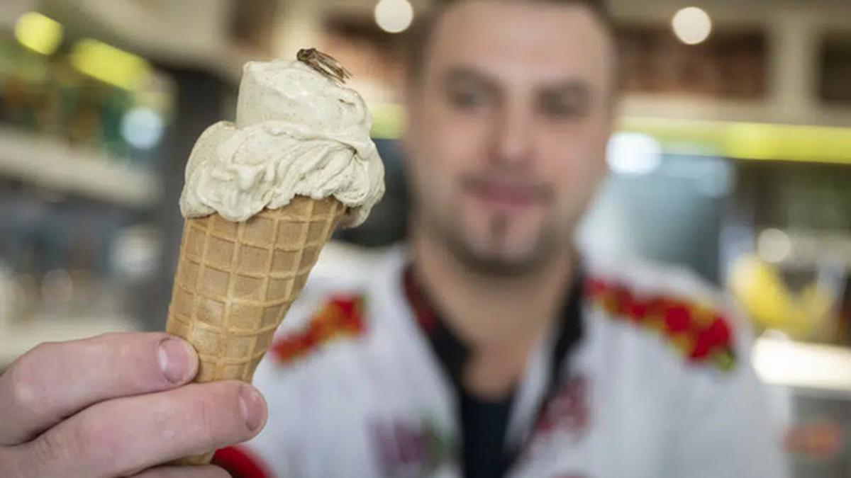 Thomas Micolino, pemilik Eiscafe Rino, memegang es krim rasa jangkrik. (AP/Marijan Murat)