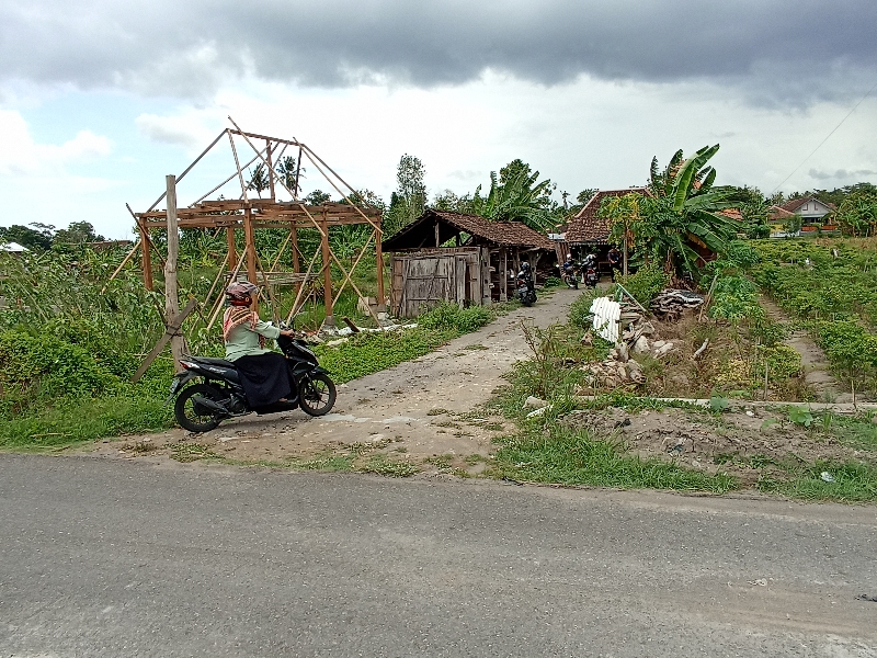 PROMO: Warga melintas di area tanah pelungguh yang menjadi tempat display joglo di Padukuhan Keyongan, Kalurahan Sabdodadi, Kapanewon Bantul, Selasa (28/11). (Gregorius Bramantyo/Radar Jogja)