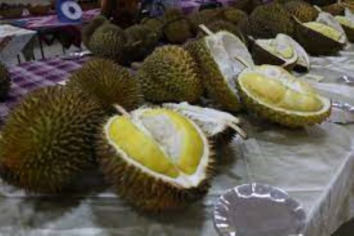 Durian Bawor yang cukup terkenal di Jawa Tengah (sumber Pemprov Jateng)