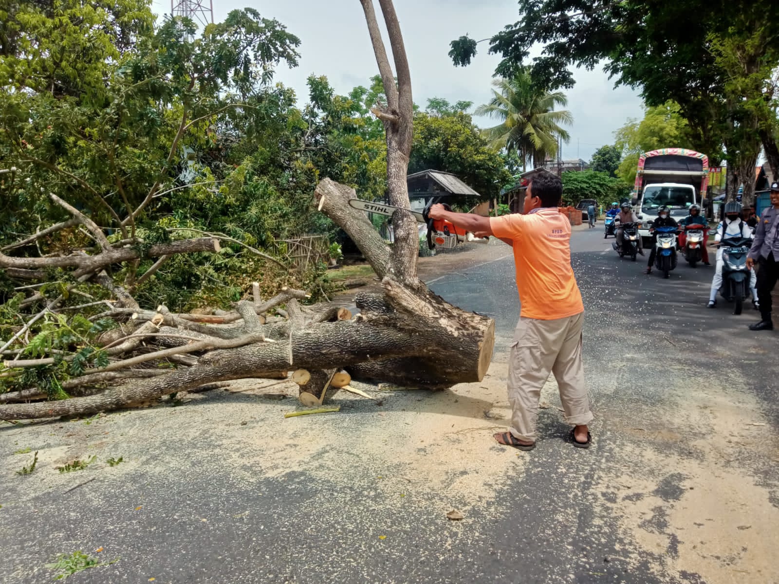 REAKSI CEPAT: Tim BPBD Kabupaten Purworejo saat menangani pohon tumbang di Jalan Bragolan, Kecamatan Purwodadi, Purworejo, beberapa waktu lalu. (BPBD Kabupaten Purworejo)