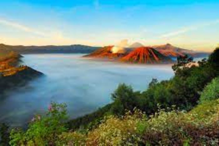 sumber wikipedia