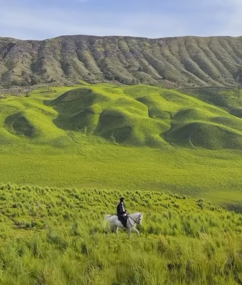 Savana Gunung Bromo yang kembali hijau. (Instagram/@pesona.indonesia)