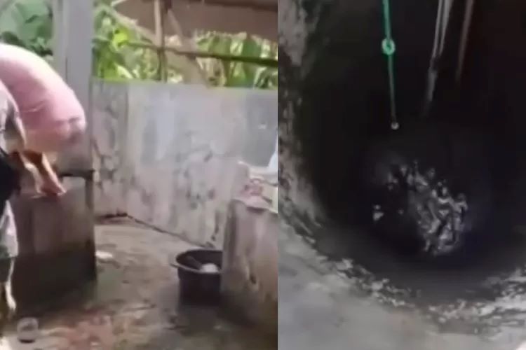 Pria di Pemalang nekat terjun ke dalam sumur (IG/isrocuey.official)