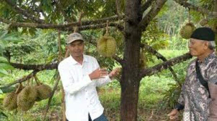 sumber Youtube Amir Syarifudin Media