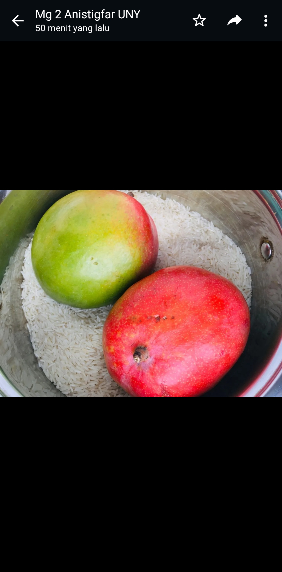 Pemeraman buah dalam beras. (starfarm.co.id)