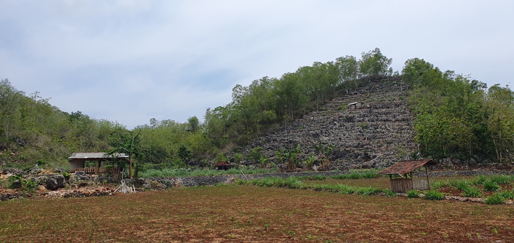 MENUNGGU HUJAN: Para petani yang menggunakan sistem tumpang sari di Gunungkidul terancam gagal panen karena hujan tidak kunjung turun