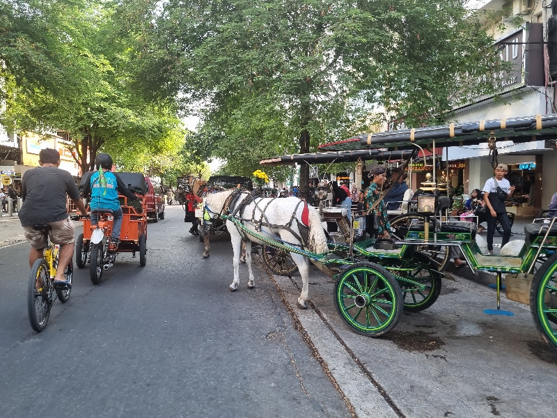 SIAP ANTAR: Andong yang berada di kawasan Malioboro Jogjakarta. (Fahmi Fahriza/Radar Jogja)