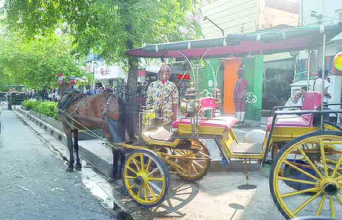IKON MALIOBORO: Andong yang berada di kawasan Malioboro Jogjakarta menjadi salah satu alat angkutan untuk mengantar para wisatawan menikmati objek-objek wisata.
