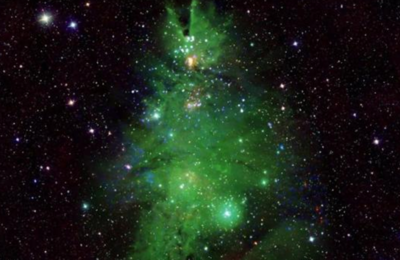 Pohon Natal Kosmik ditemukan NASA. (nasa.gov)