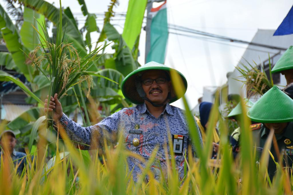 Ketua Asosiasi Petani Sayur Kota Yogyakarta Heroe Poerwadi