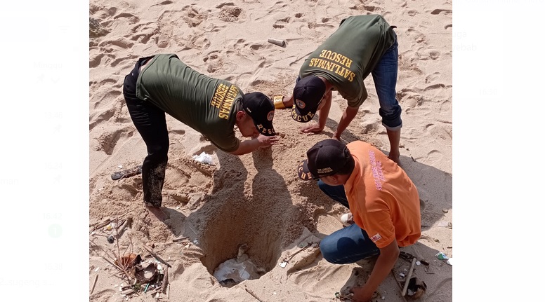 Petugas mengubur bangkai penyu yang ditemukan mati di kawasan Pantai Ngobaran, Saptosari Rabu (27/12/2023)  Foto Dokumen Tim Sar Linmas Gunungkidul