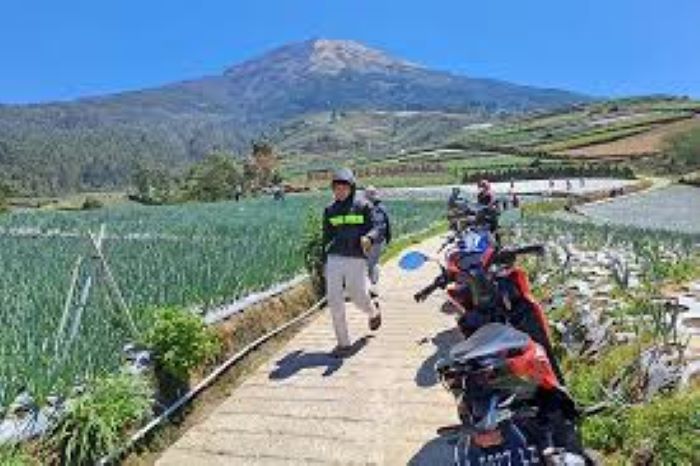 Para wisatawan disuguhi keindahan alam di bawah kaki Gunung Sumbing. (ROFIK SYARIF G P/JAWA POS RADAR MAGELANG)