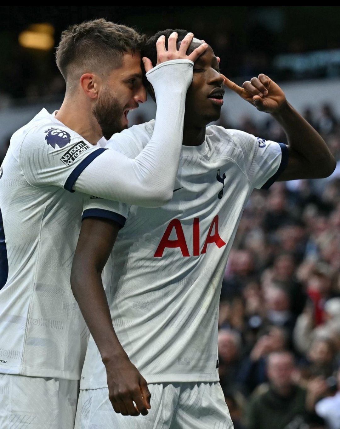 SIP: Tottenham Hotspurs berhasil raih tiga poin kala menjamu Bournemouth pada pekan ke-20 Premier League. (Istimewa)
