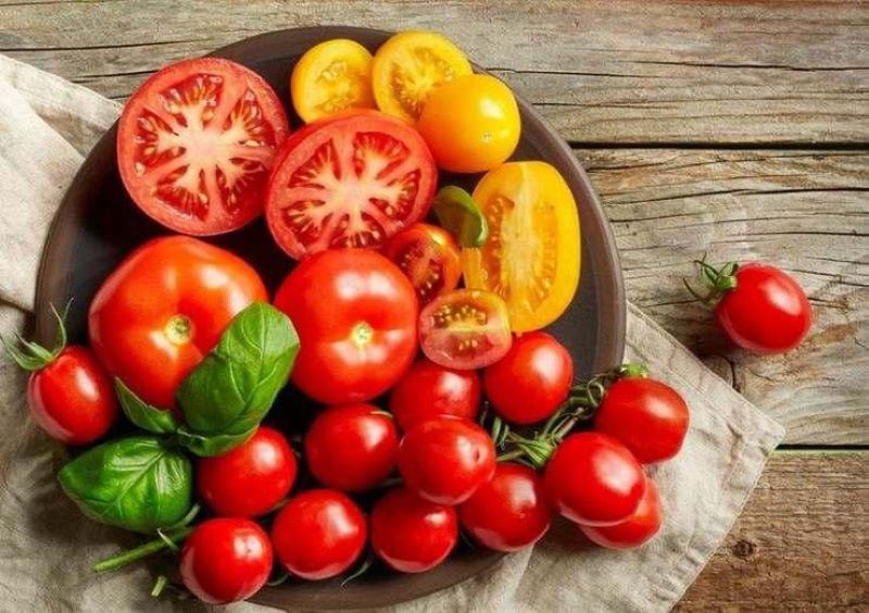 Segarnya buah tomat. (Google/@Tanahkaya)