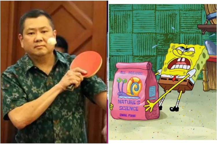 Harry Tanoesoedibjo viral usai pengisi suara kartun angkat bicara soal gaji (Kolase Instagram @hary.tanoesoedibjo dan tangkap layar YouTube/Nickelodeon)