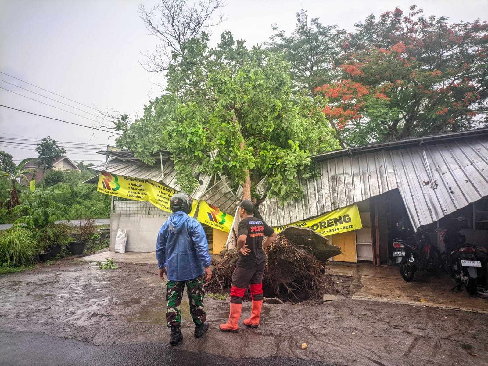 AWASI: Petugas mengamati pohon tumbang yang menimpa sebuah tempat usaha di Padukuhan Sonopakis Kidul, Kalurahan Ngestiharjo, Kasihan, Bantul, Kamis (4/1). (Dok. BPBD Bantul)