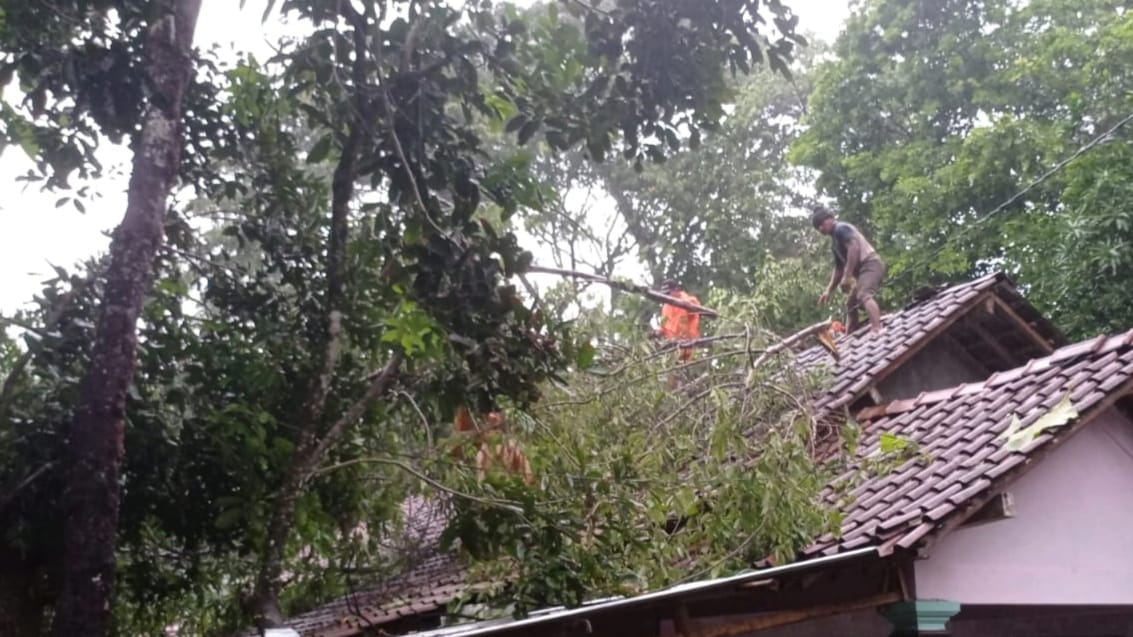 WASPADA: Dampak bencana dari kejadian angin kencang dan hujan deras di kabupaten Sleman pada Kamis (4/1). (Dok BPBD SLEMAN)