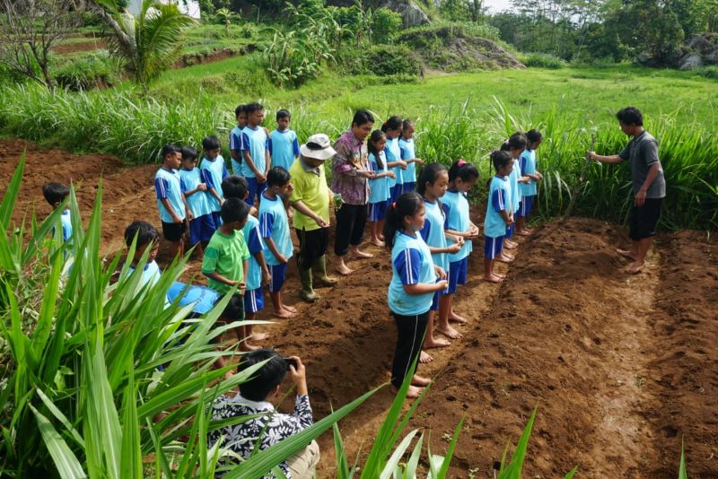 Kegiatan bertani siswa-siswi SD Negeri Gunung Gambar yang dihadiri Wakil Bupati Gunungkidul Heri Susanto, Jumat (5/1/2024). (Dokumentasi Pemkab Gunungkidul)