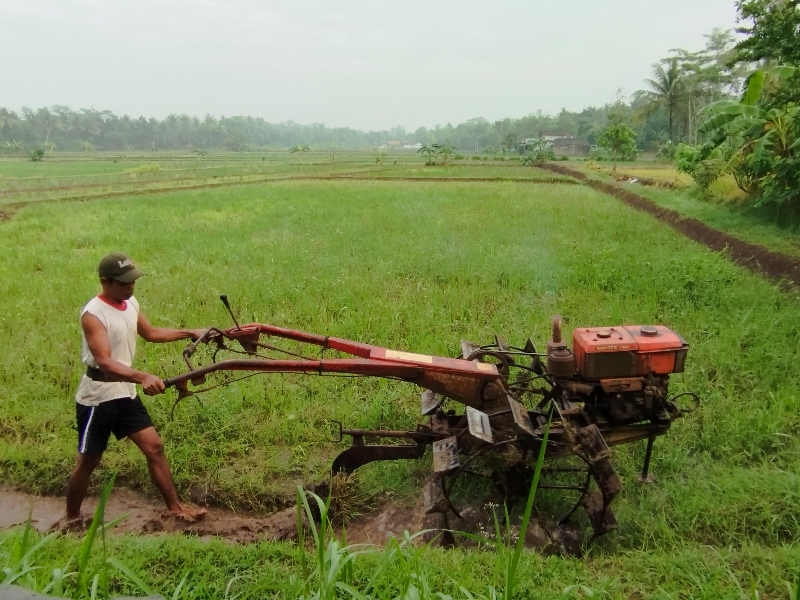 GARAP: Hujan mulai merata di wilayah Kabupaten Purworejo, seorang petani di Kecamatan Purworejo tengah membajak sawah, pada Senin (8/1). (JIHAN ARON VAHERA/RADAR JOGJA)