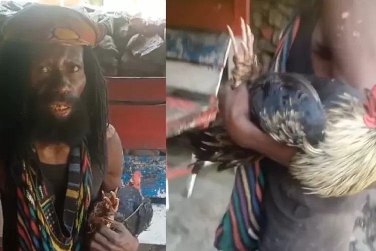 Ayam di Papua seharga Rp600 ribu (IG/papuazone.id)