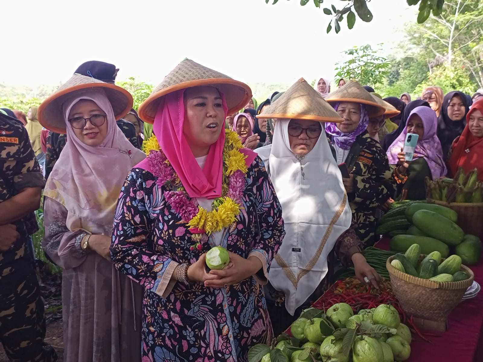 POTENSI PERTANIAN: Zannuba Ariffah Chafsoh atau Yenny Wahid panen sekaligus mencicipi jambu kristal di kebun warga Desa Jogosimo, Kecamatan Klirong.